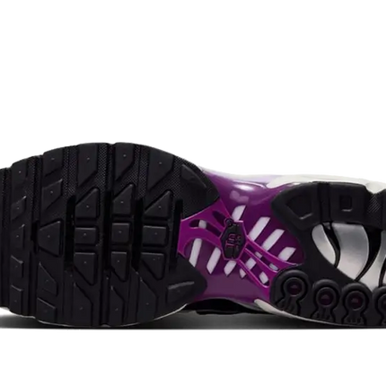 Nike Nike Air Max Plus Lilac Bloom  - FN6949-100