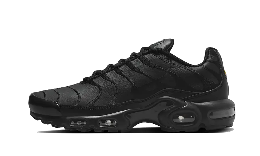 Nike Nike Air Max Plus Triple Black Leather - AJ2029-001